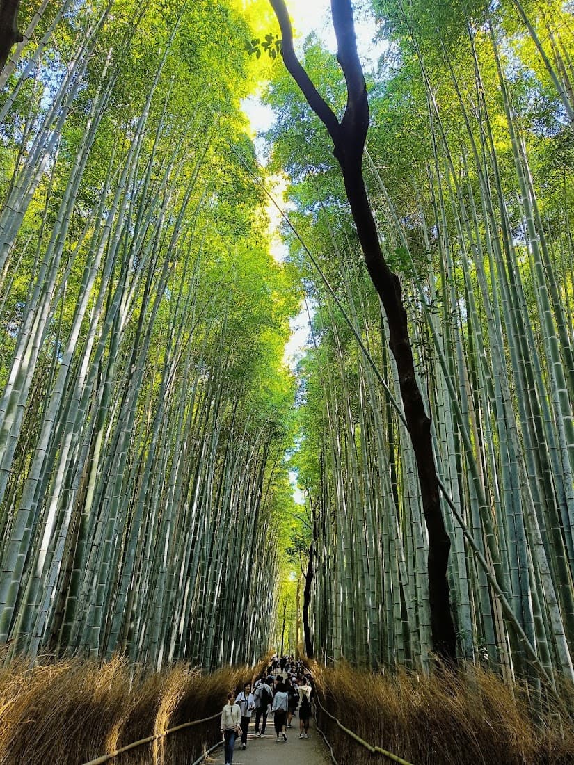 Kyoto